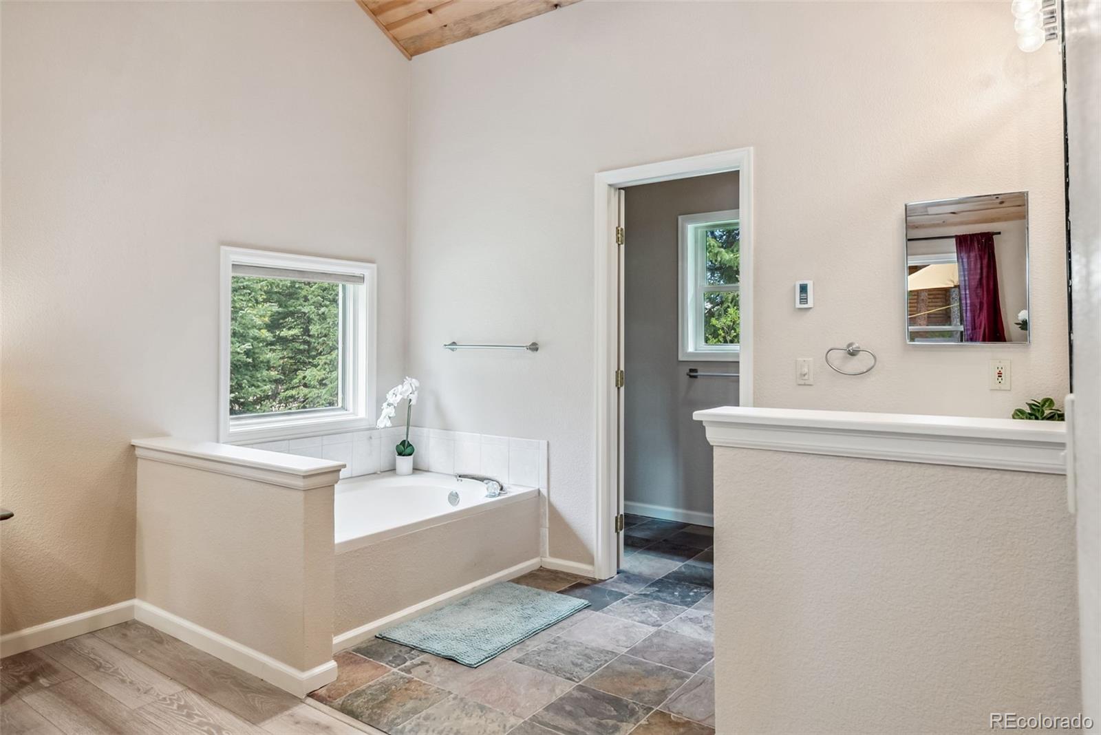 MLS Image #12 for 0507  cr 674 ,breckenridge, Colorado