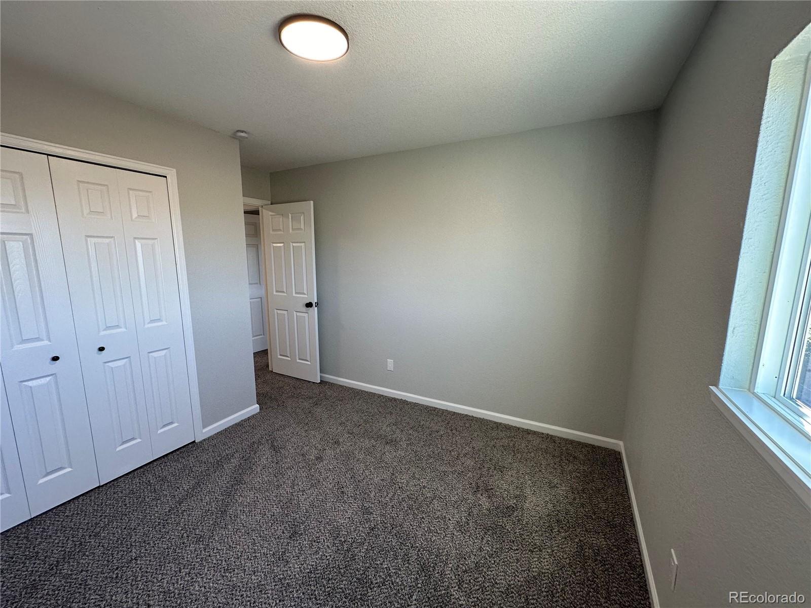 MLS Image #16 for 2305  legend drive,colorado springs, Colorado