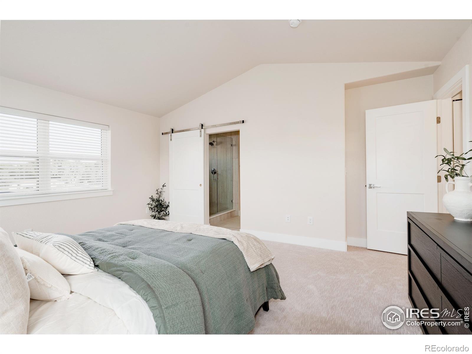 MLS Image #21 for 1649  taft gardens circle,loveland, Colorado