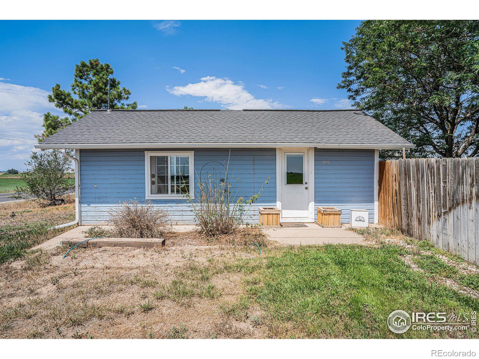 MLS Image #4 for 7001  county road 84 ,fort collins, Colorado