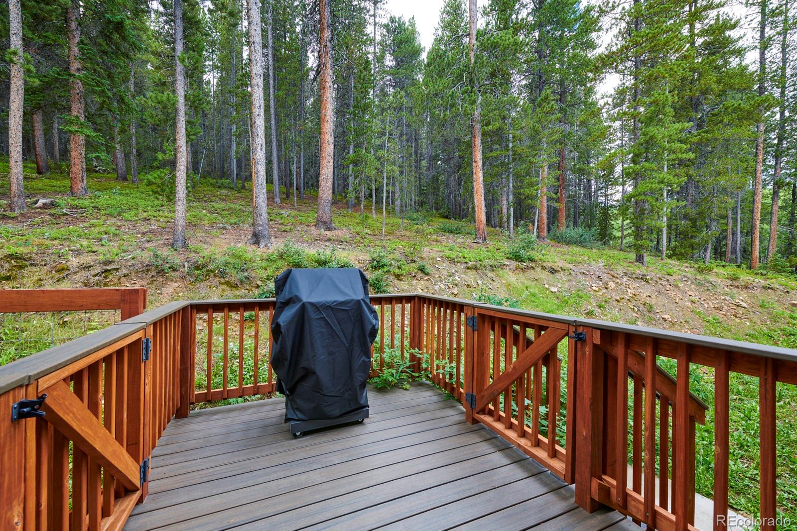 MLS Image #22 for 70  collins way,black hawk, Colorado