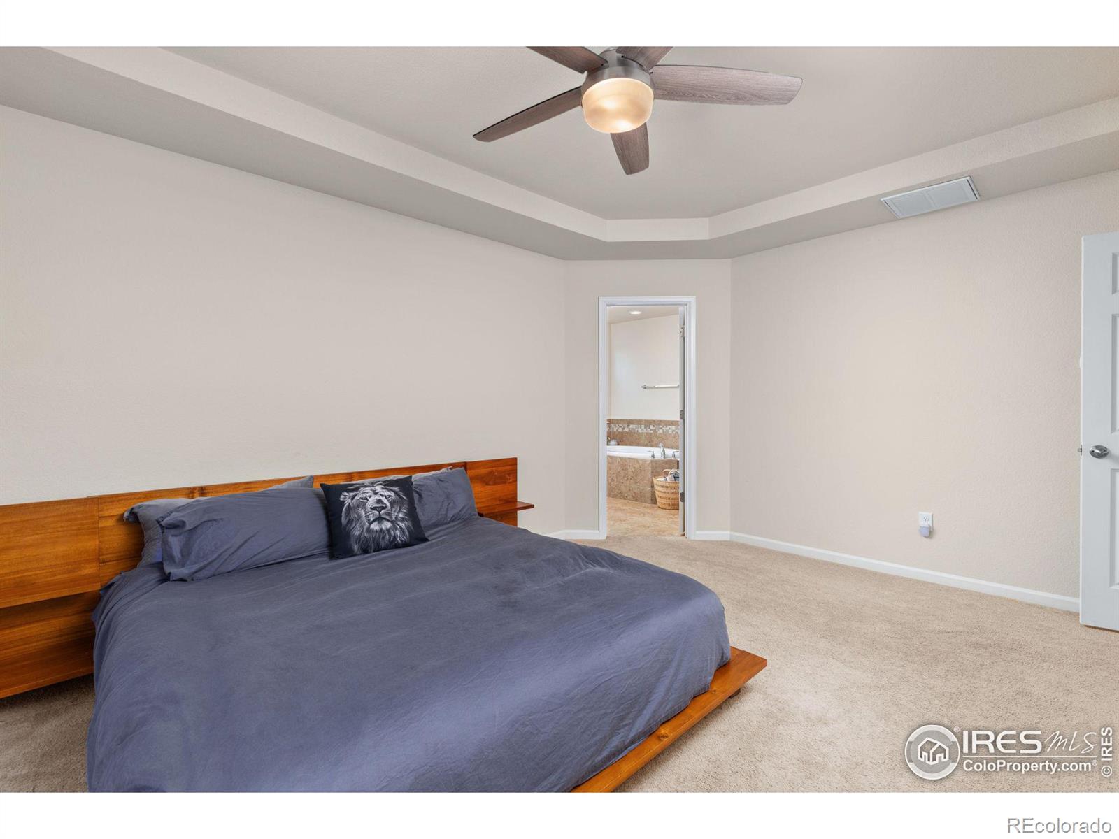 MLS Image #19 for 3215  bryce drive,fort collins, Colorado