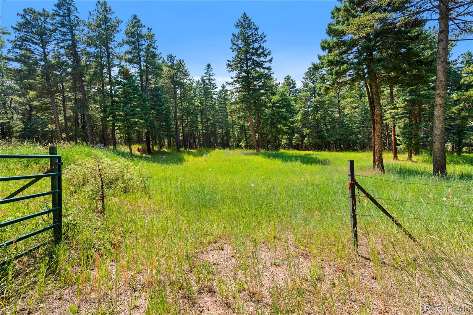 MLS Image #31 for 10950  bartlett trail,rye, Colorado