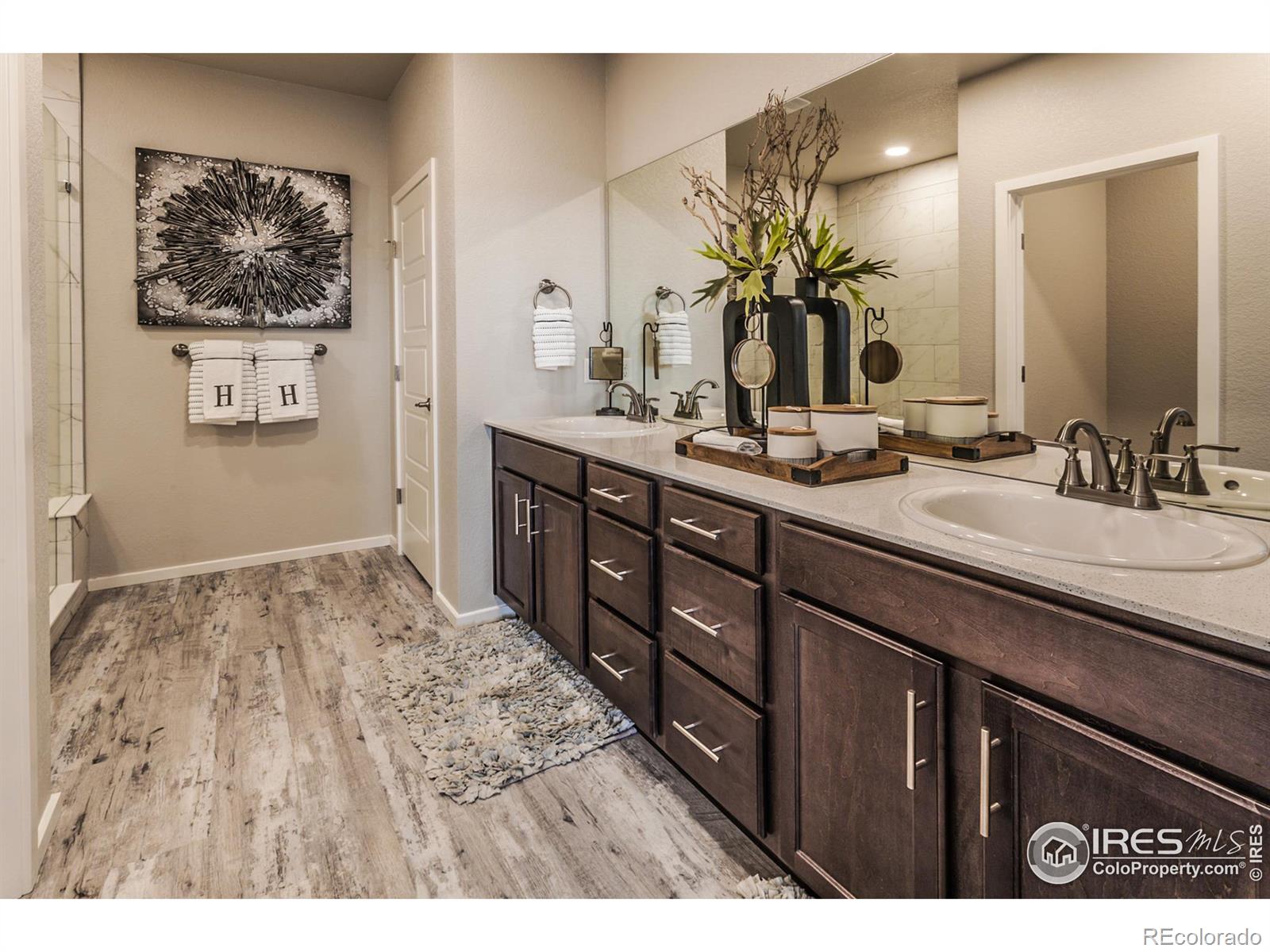 MLS Image #21 for 5314  blainville street,timnath, Colorado