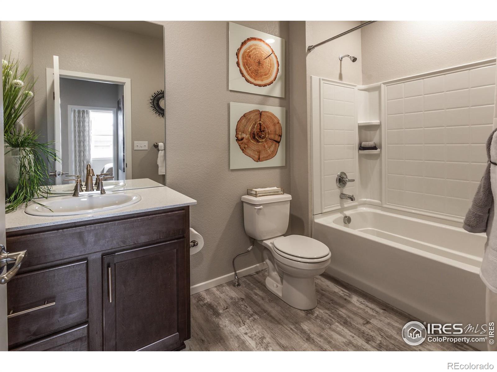 MLS Image #3 for 5314  blainville street,timnath, Colorado