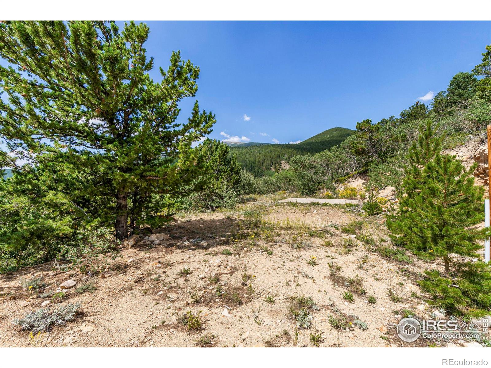 MLS Image #33 for 43343  peak to peak highway,ward, Colorado