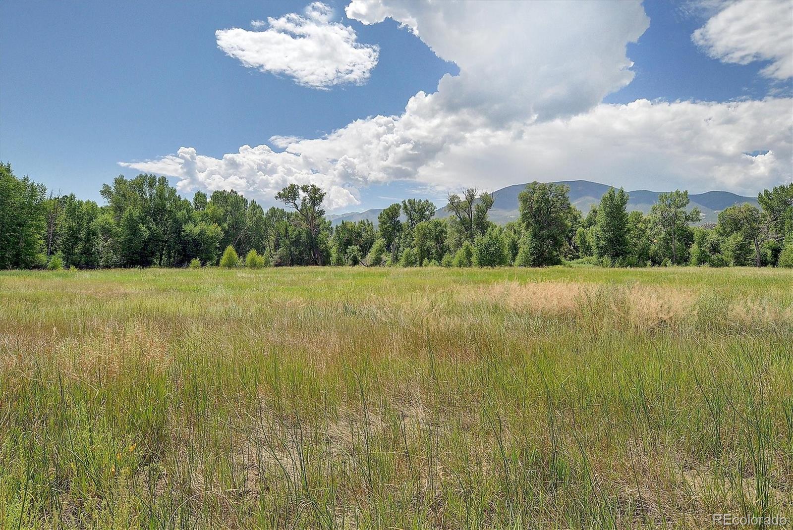 MLS Image #31 for 101  m and m lane,salida, Colorado