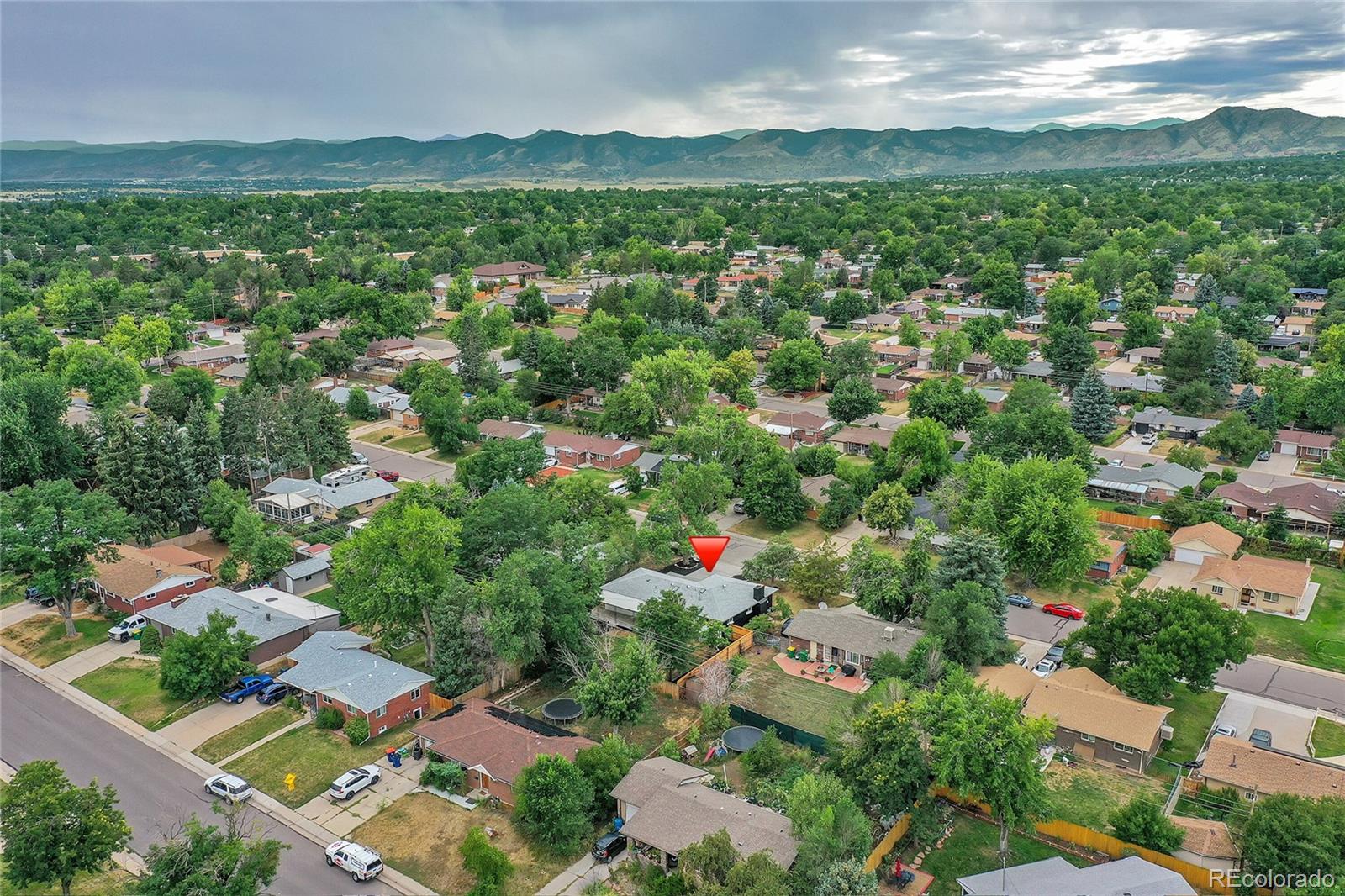 MLS Image #8 for 1628 s ammons street,lakewood, Colorado