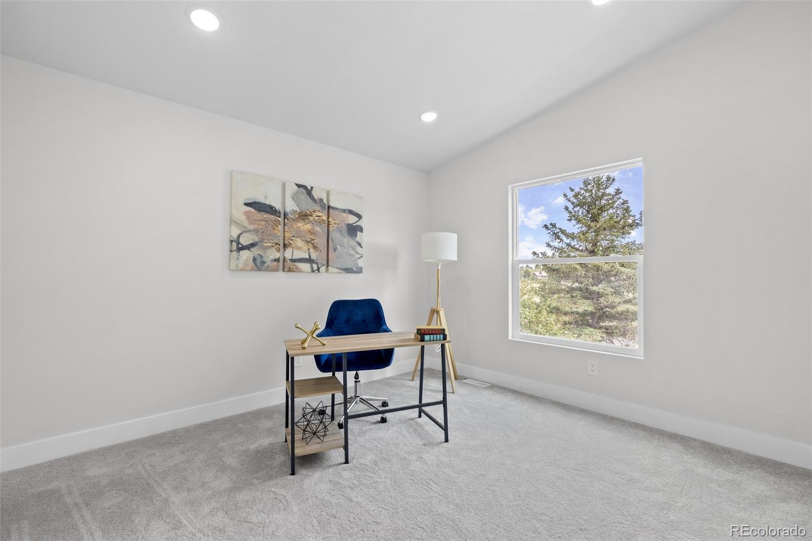 MLS Image #27 for 9201 n palomino drive,castle rock, Colorado