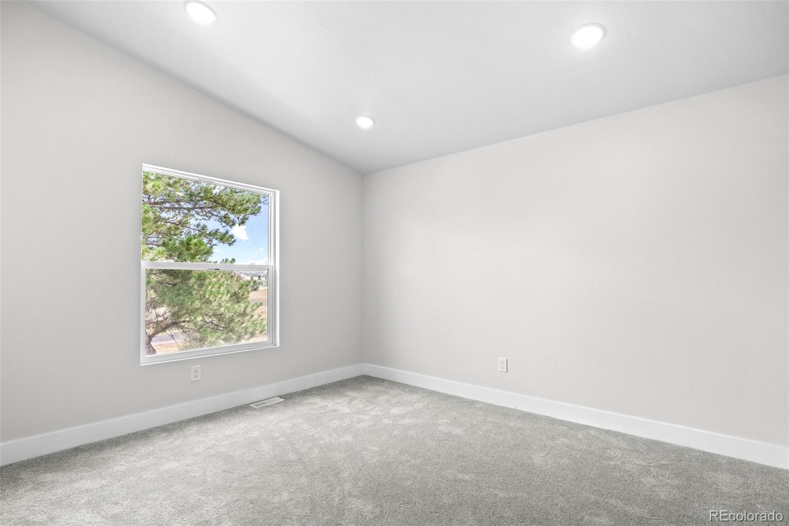 MLS Image #28 for 9201 n palomino drive,castle rock, Colorado