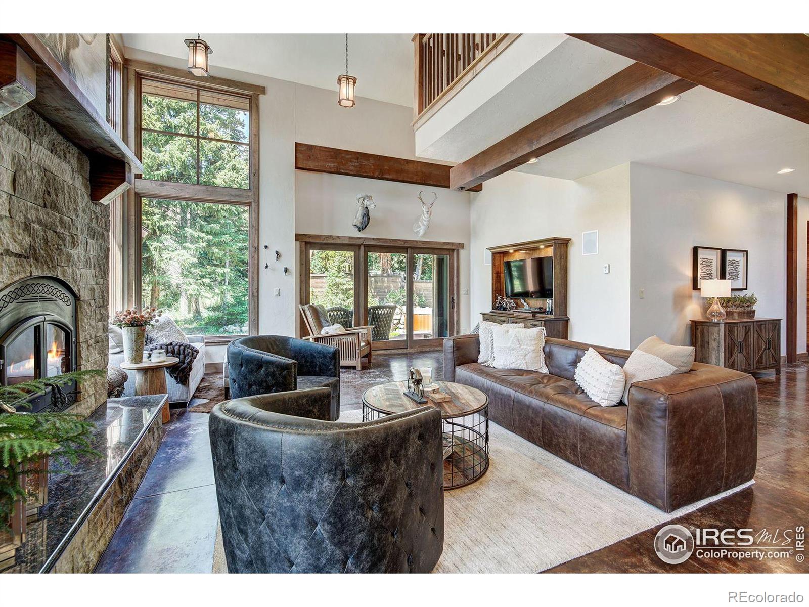 MLS Image #11 for 224  wilderness drive,breckenridge, Colorado