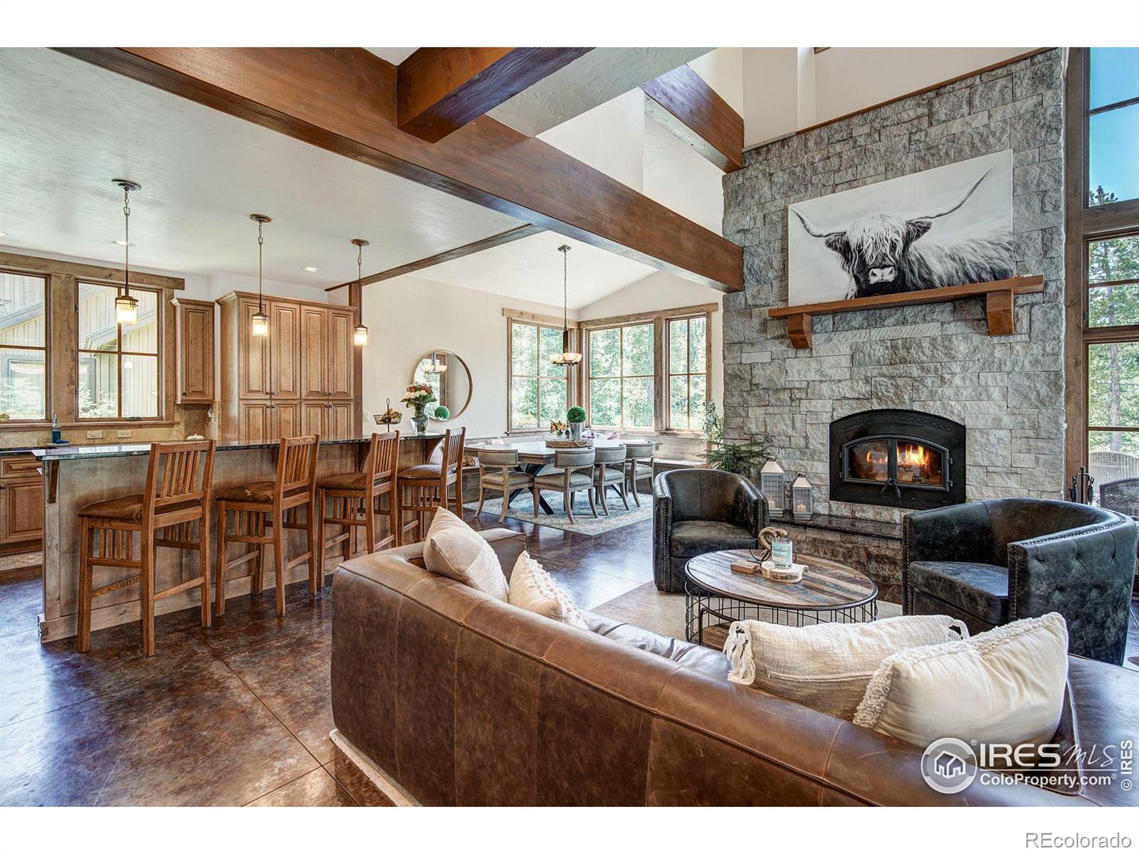 MLS Image #6 for 224  wilderness drive,breckenridge, Colorado