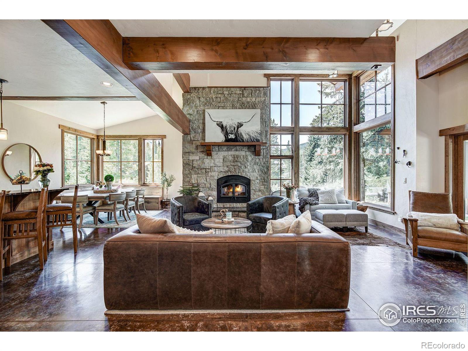 MLS Image #8 for 224  wilderness drive,breckenridge, Colorado