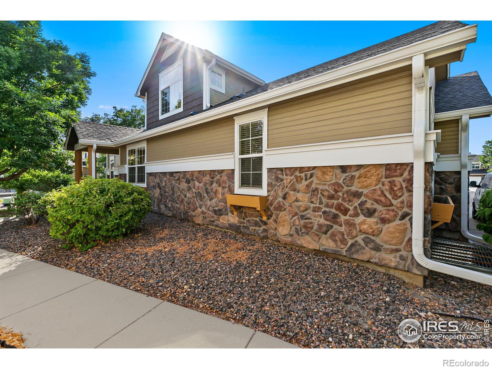 MLS Image #2 for 128  bayside circle,windsor, Colorado