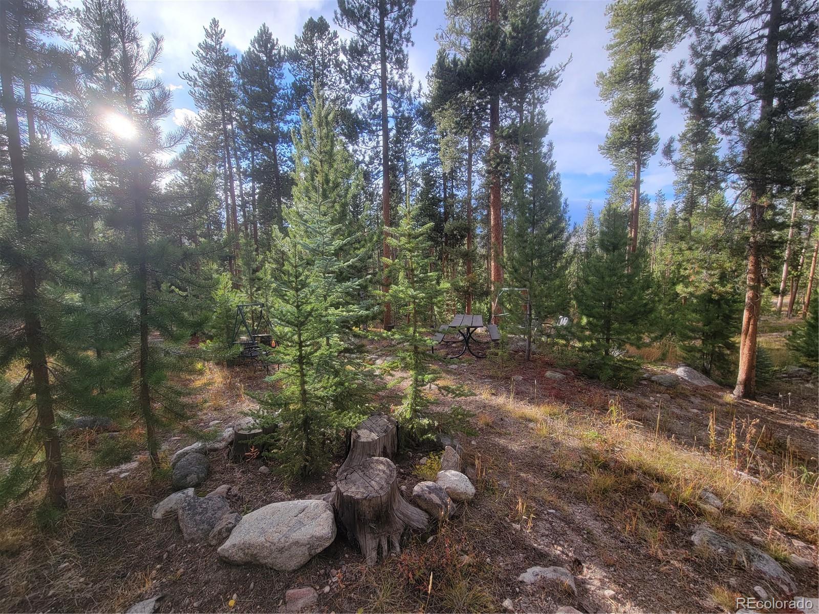 MLS Image #33 for 460  gcr 466 ,grand lake, Colorado