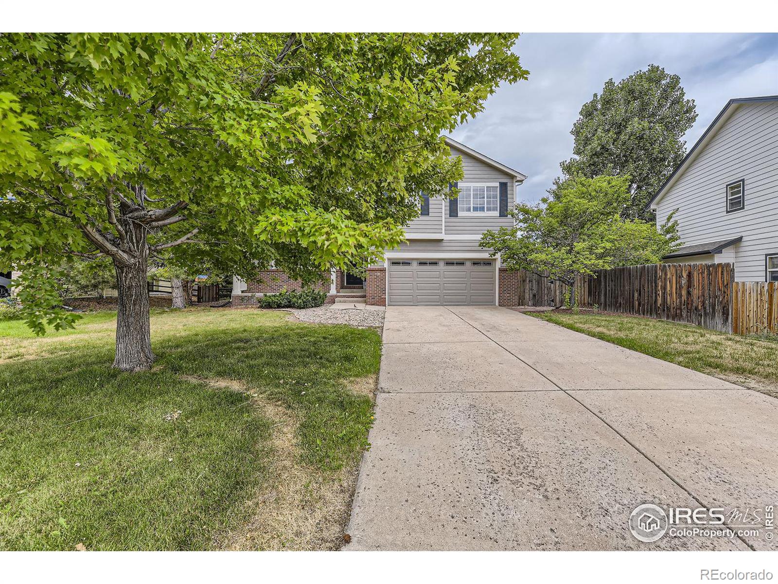 MLS Image #4 for 820  whispering oak drive,castle rock, Colorado