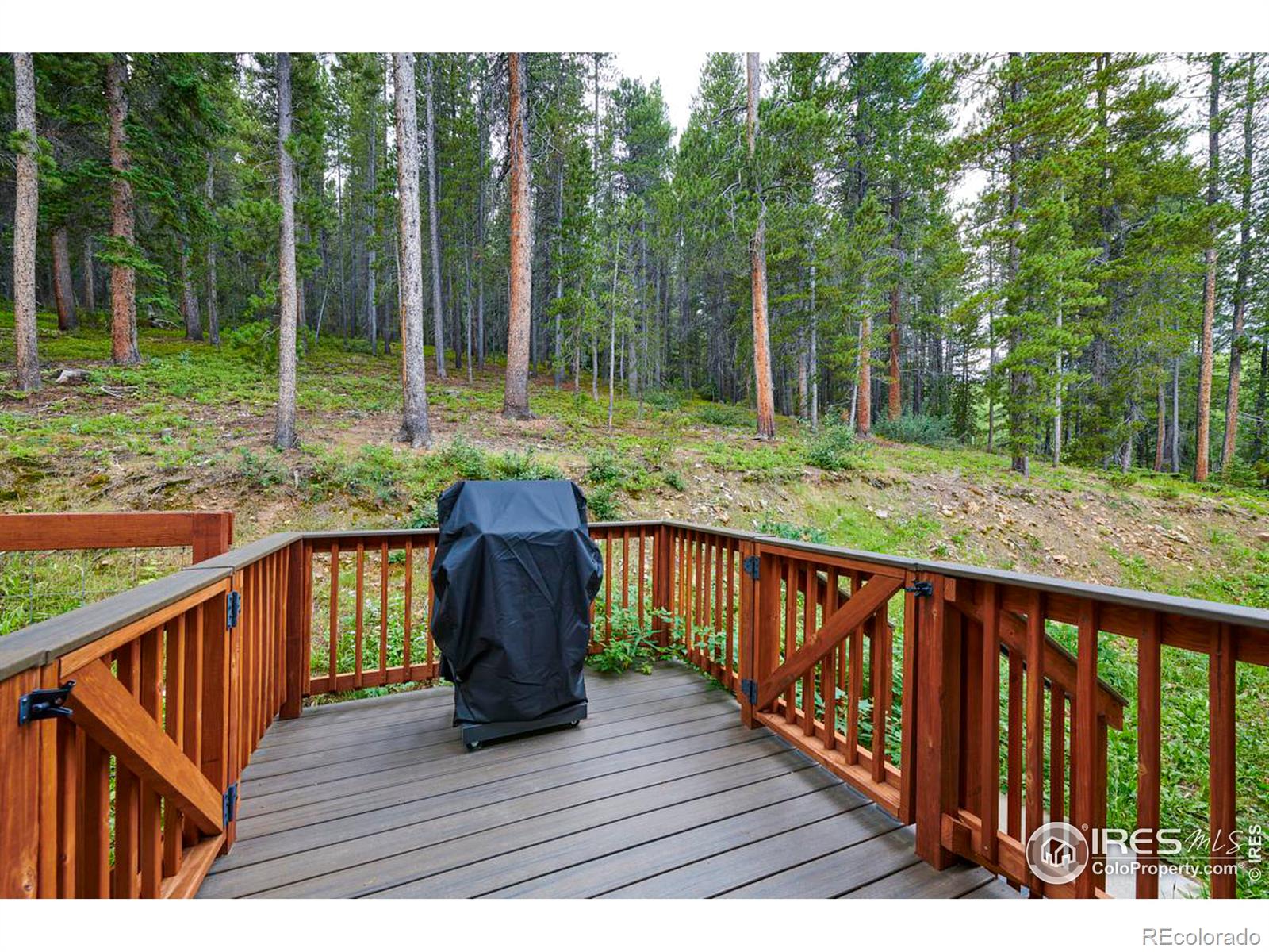 MLS Image #22 for 70  collins way,black hawk, Colorado