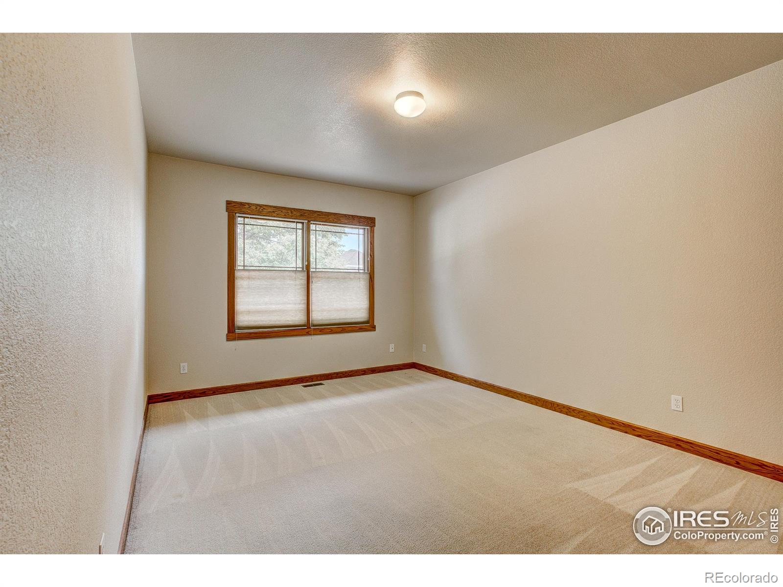 MLS Image #36 for 4233  applegate court,fort collins, Colorado