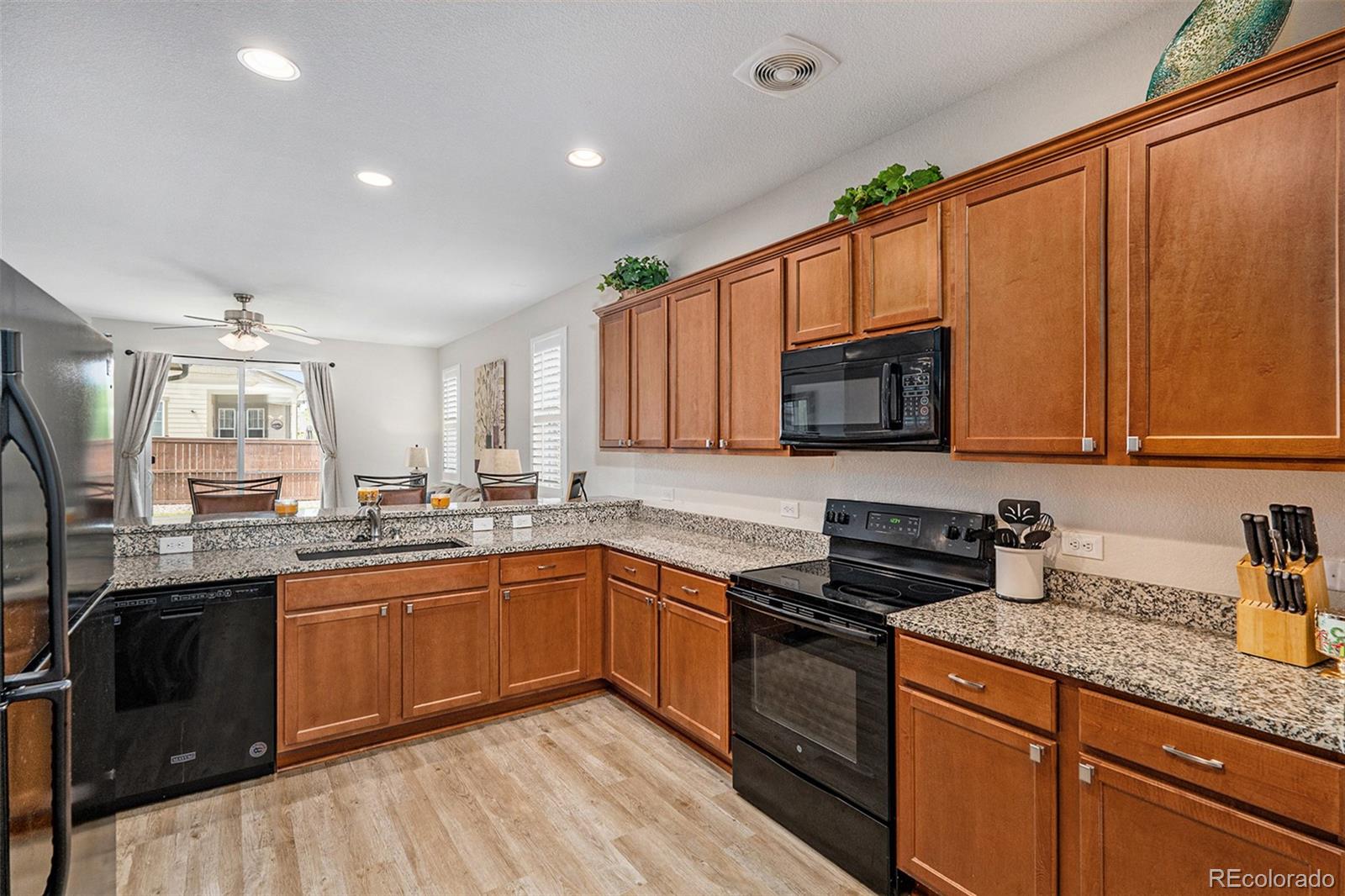 MLS Image #10 for 41 s jackson gap way,aurora, Colorado