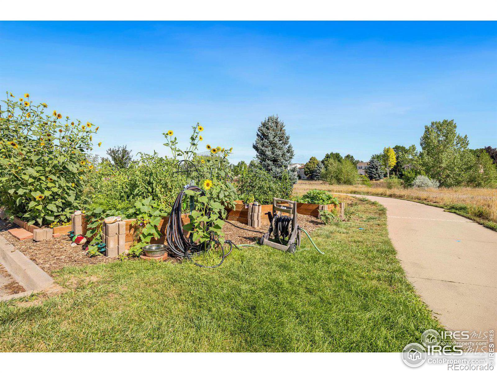 MLS Image #24 for 5620  fossil creek parkway,fort collins, Colorado