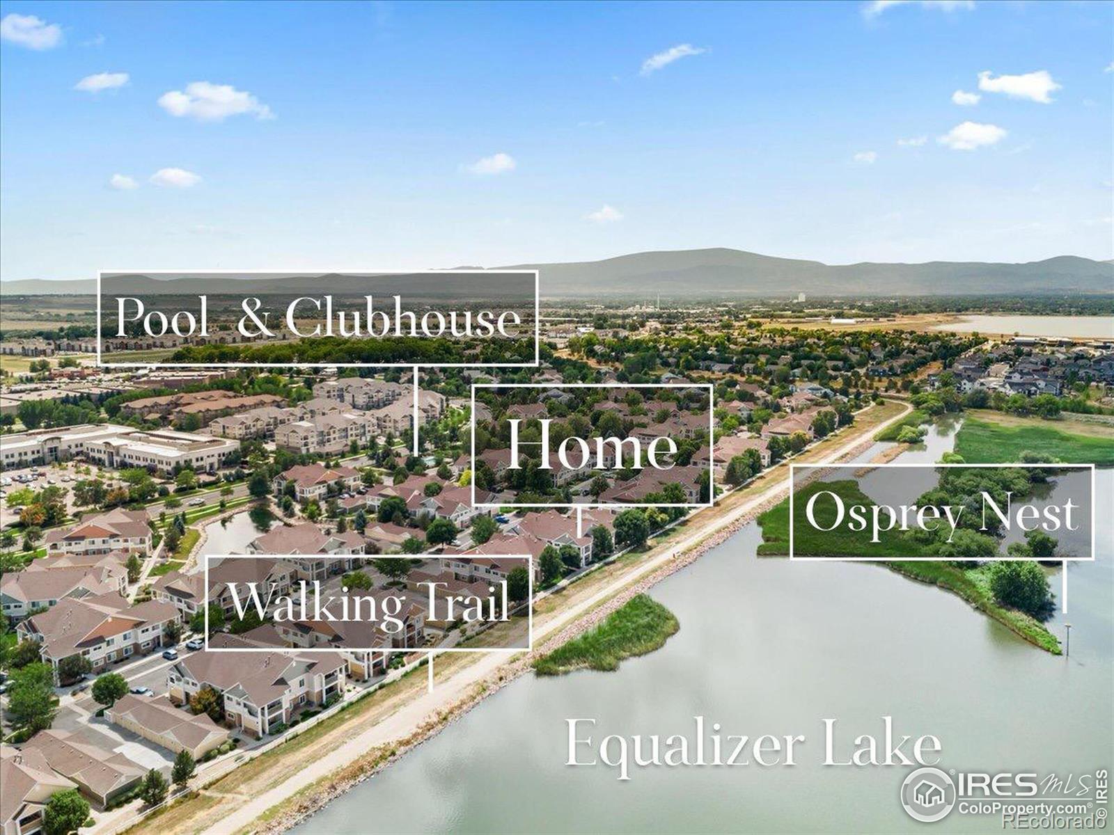 MLS Image #24 for 4885  hahns peak drive,loveland, Colorado