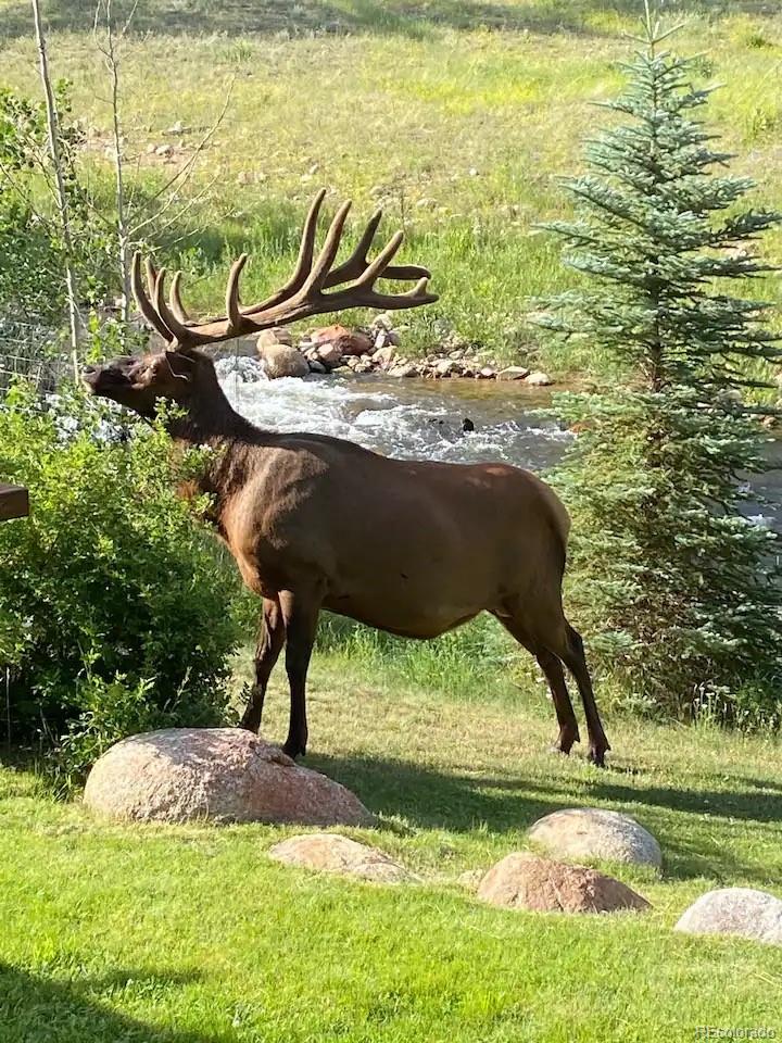 MLS Image #27 for 1605  ziola court,estes park, Colorado