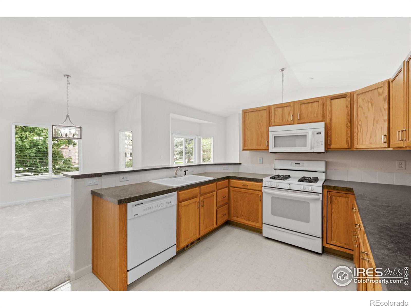 MLS Image #10 for 3024  depo drive,longmont, Colorado