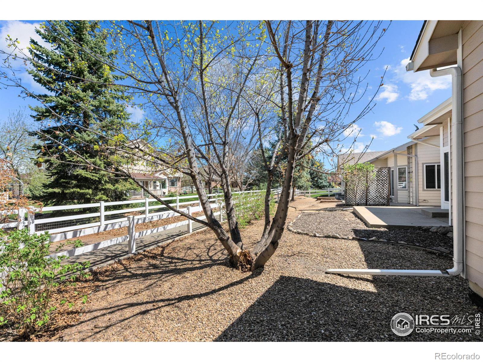 MLS Image #20 for 3024  depo drive,longmont, Colorado