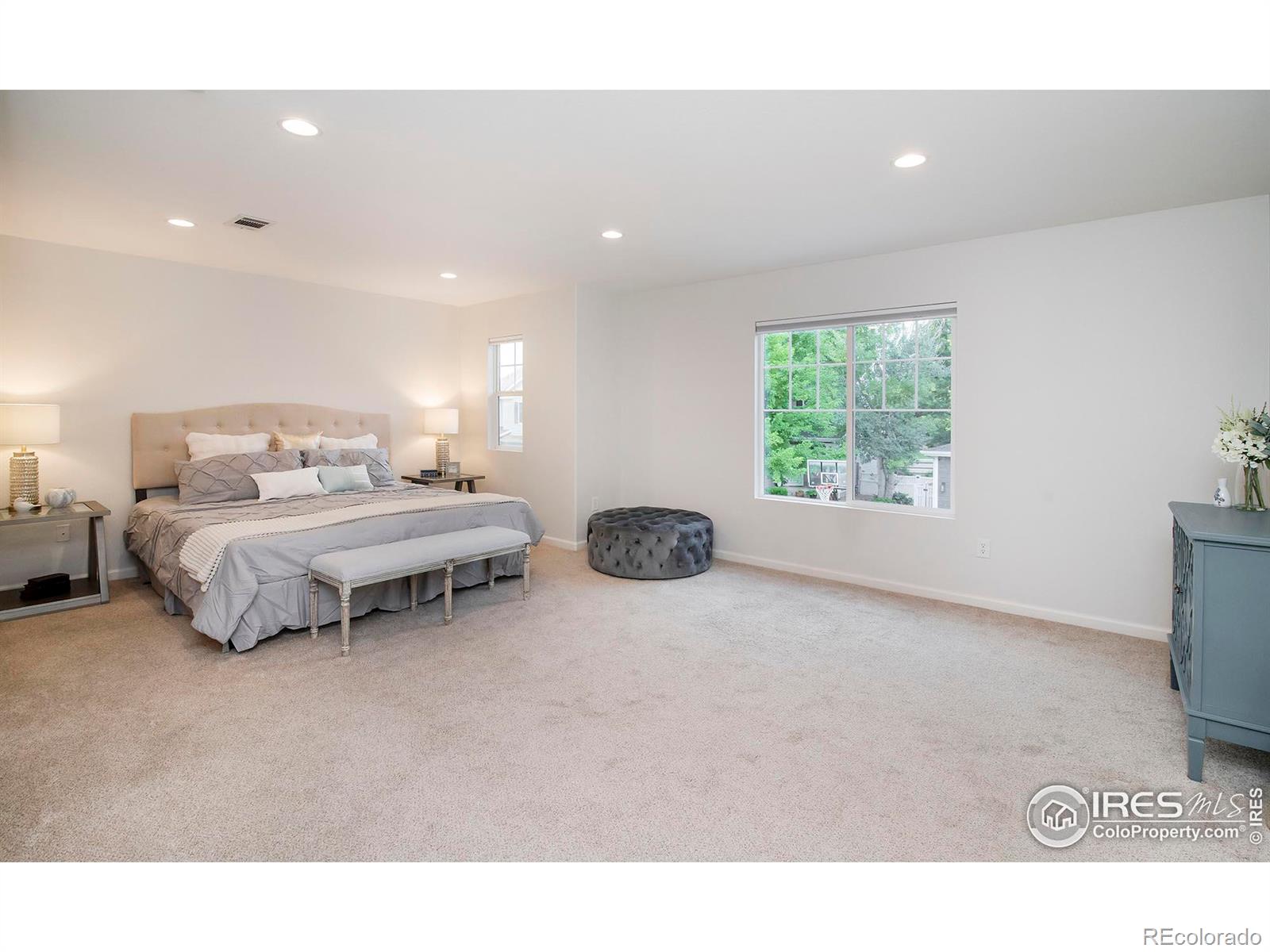 MLS Image #21 for 4018  arezzo drive,longmont, Colorado