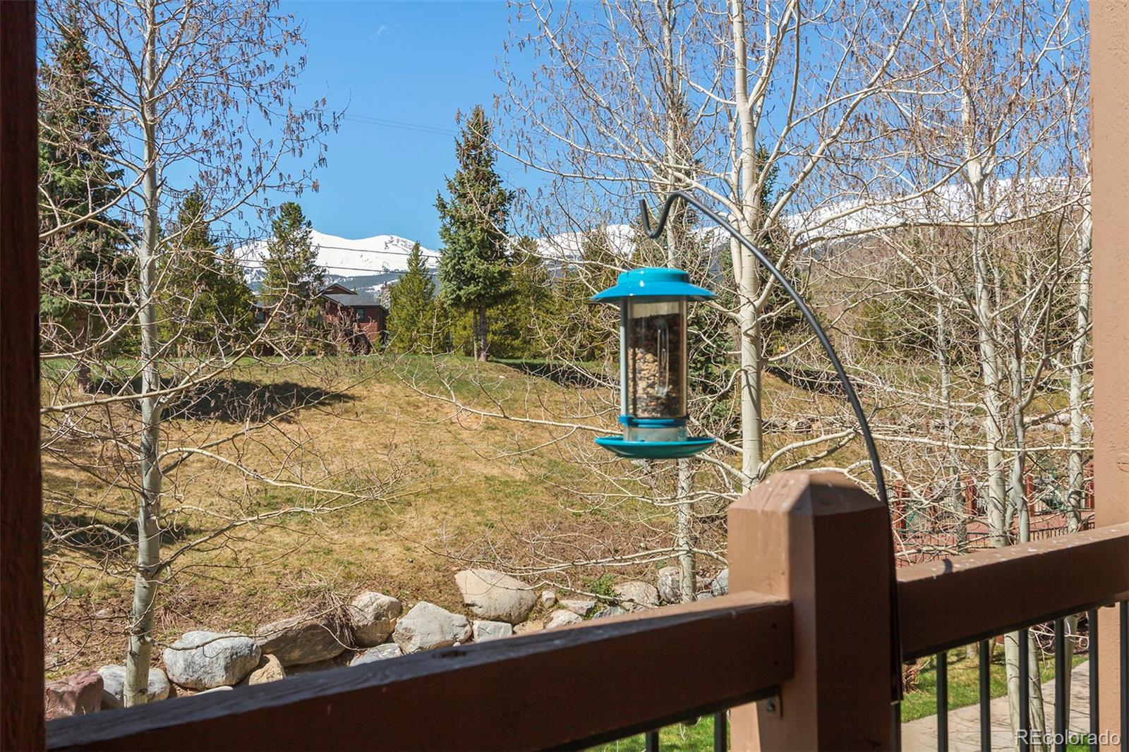 MLS Image #5 for 34  highfield trail,breckenridge, Colorado