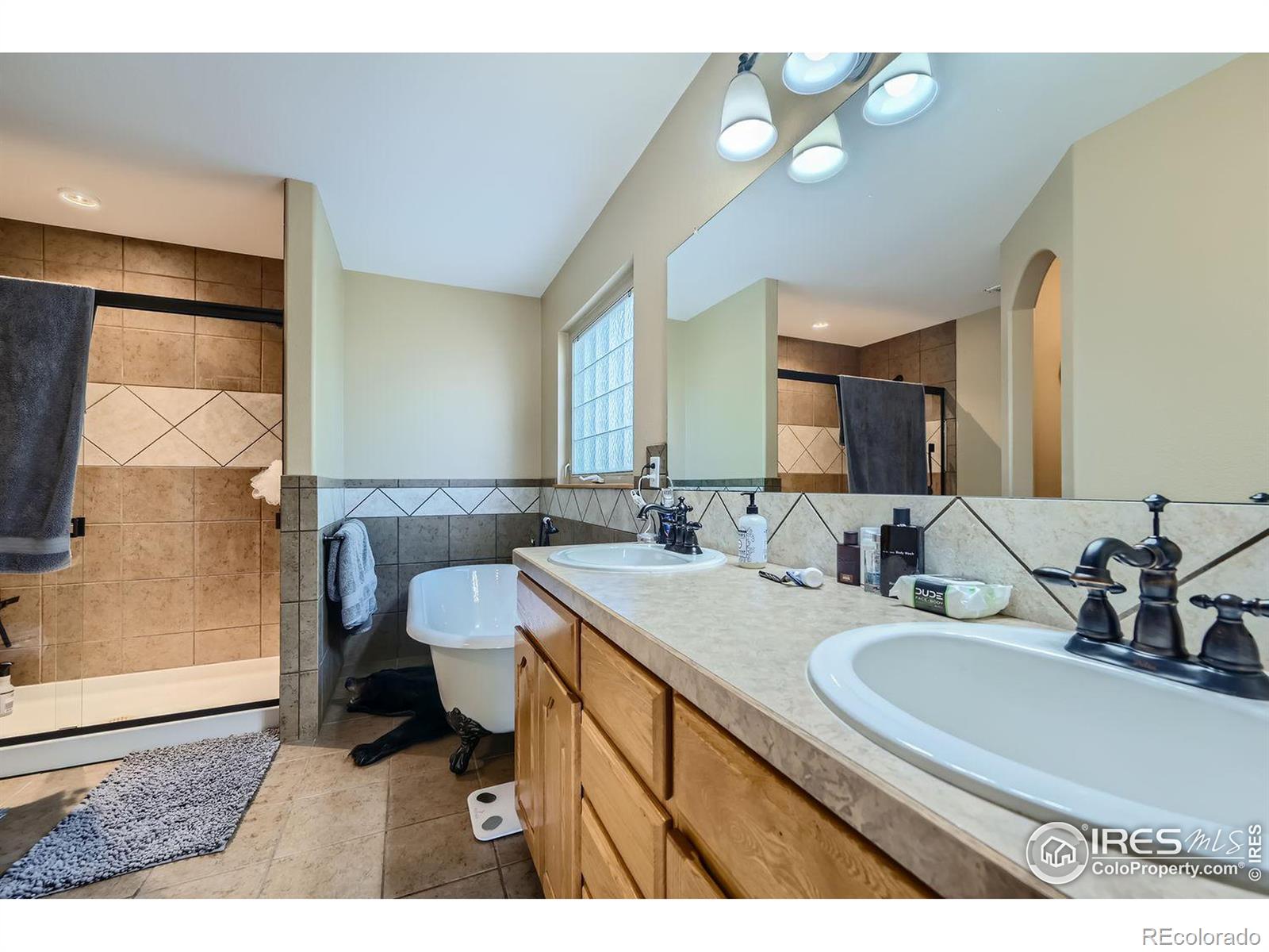 MLS Image #14 for 5007  cortez way,severance, Colorado