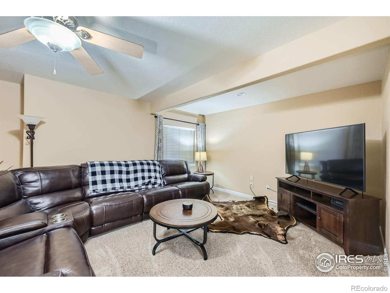 MLS Image #18 for 5007  cortez way,severance, Colorado