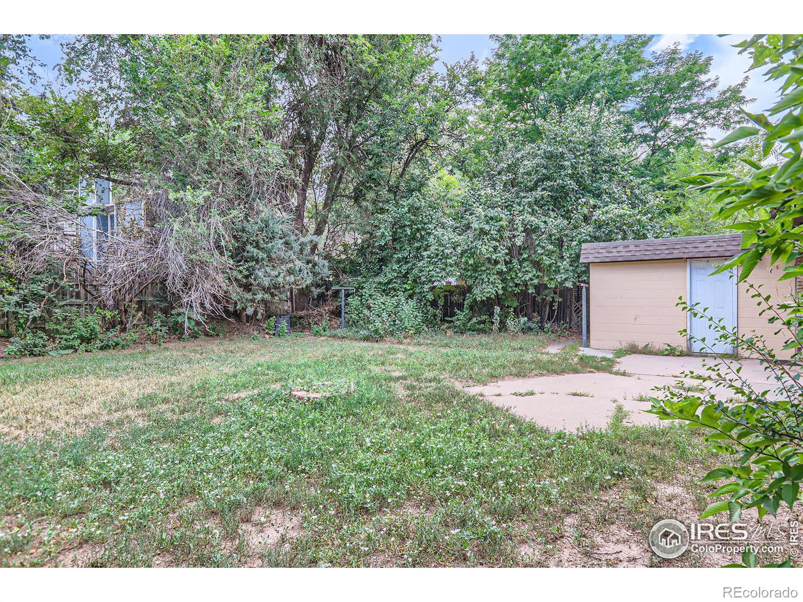 MLS Image #27 for 1517  crestmore place,fort collins, Colorado