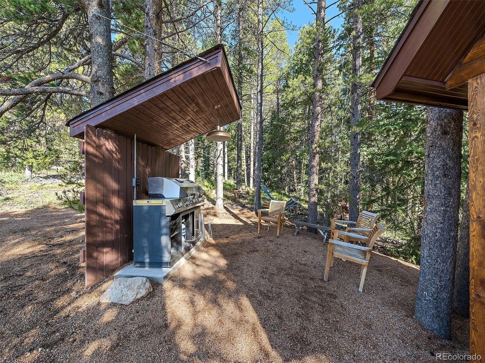 MLS Image #11 for 9719  beaver pond ,conifer, Colorado