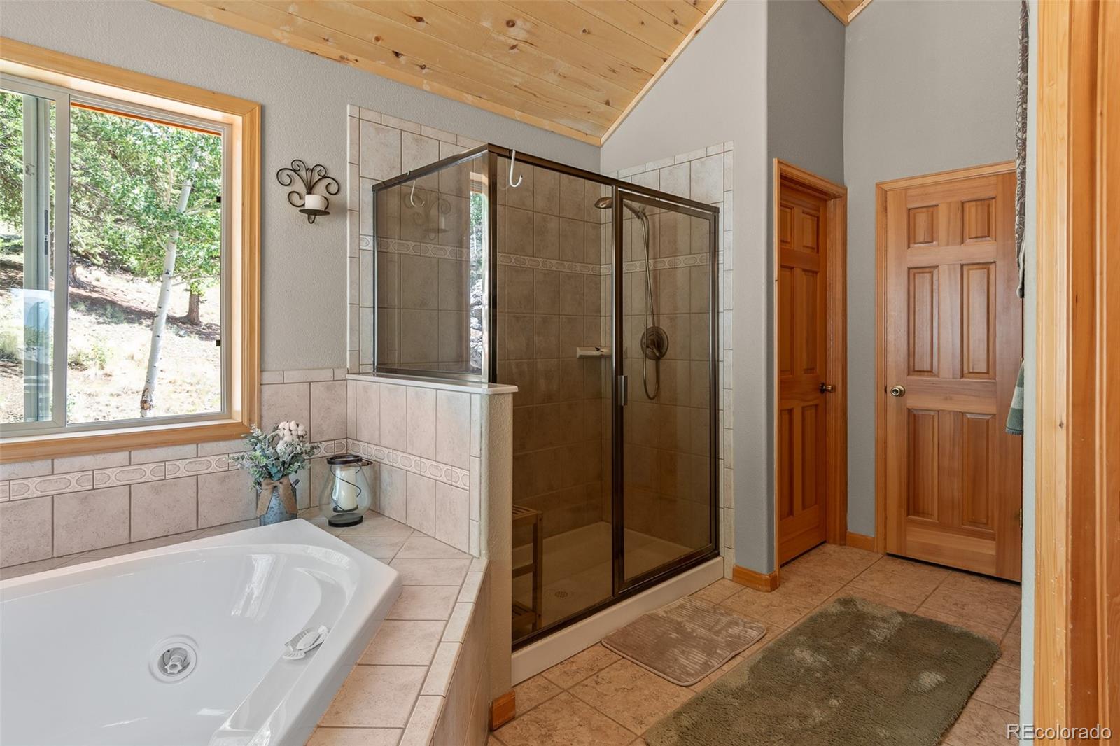 MLS Image #26 for 205  palomino drive,jefferson, Colorado