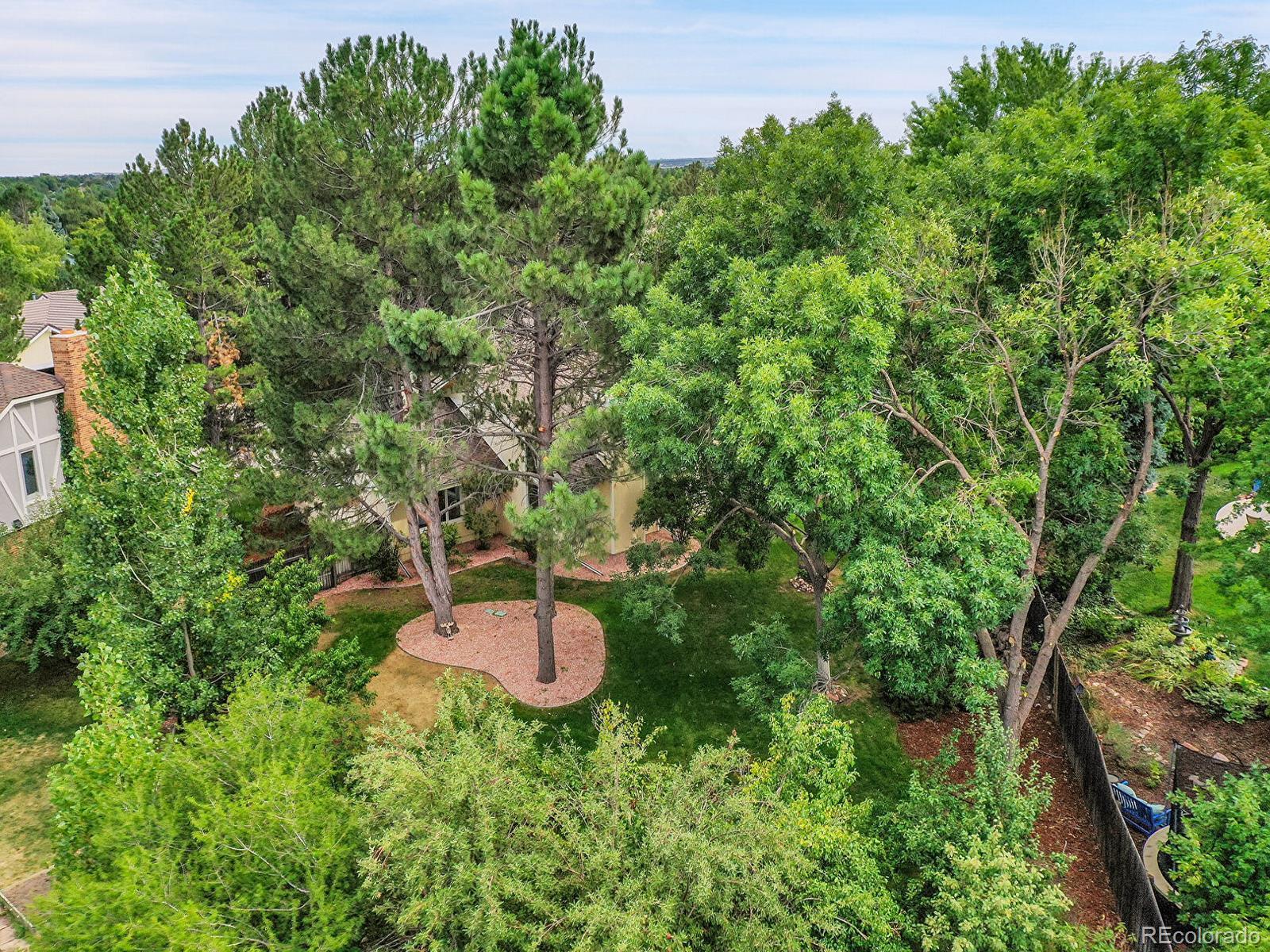 MLS Image #44 for 7709 s glencoe way,centennial, Colorado