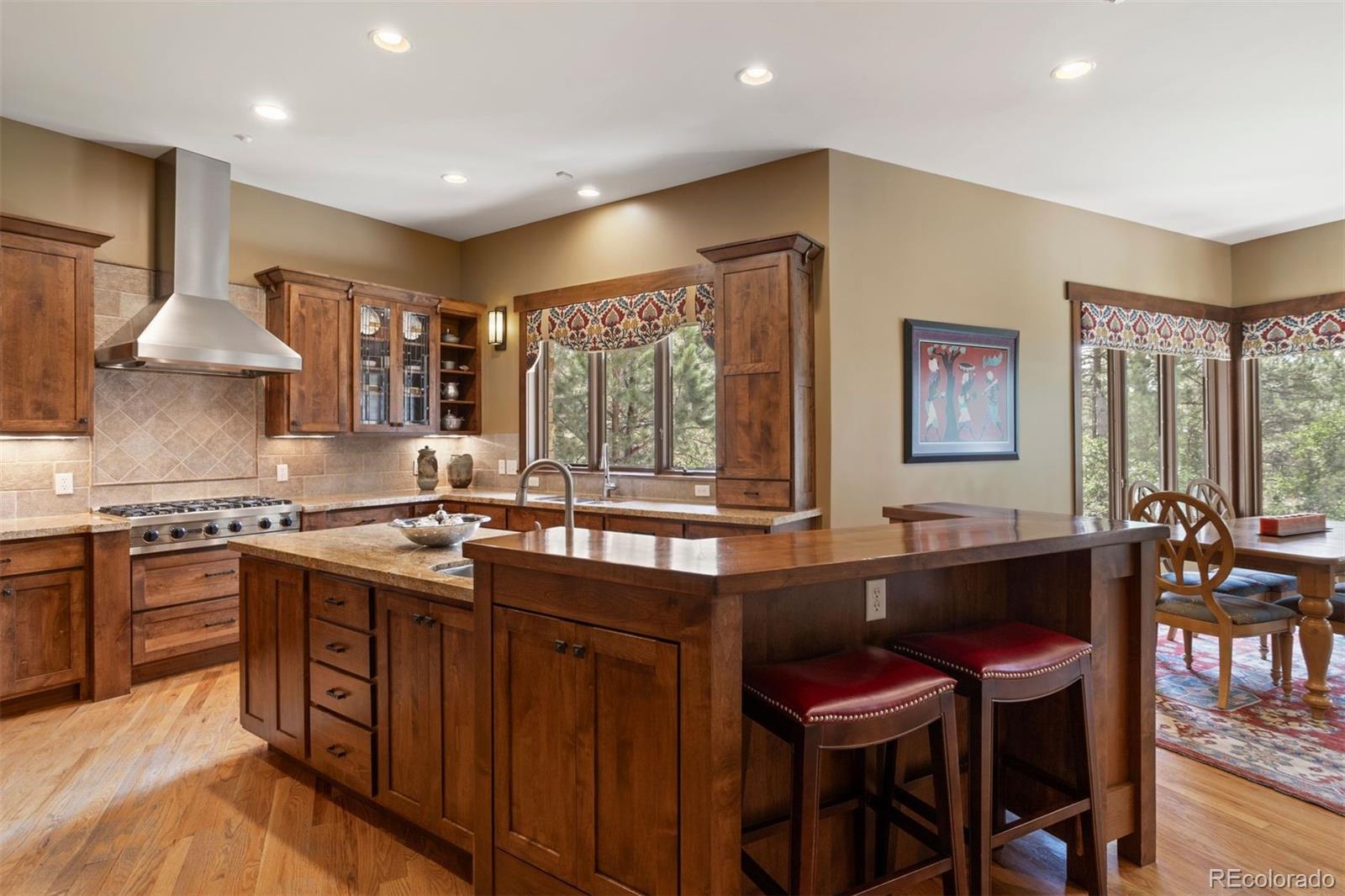 MLS Image #12 for 29  castle pines drive,castle rock, Colorado