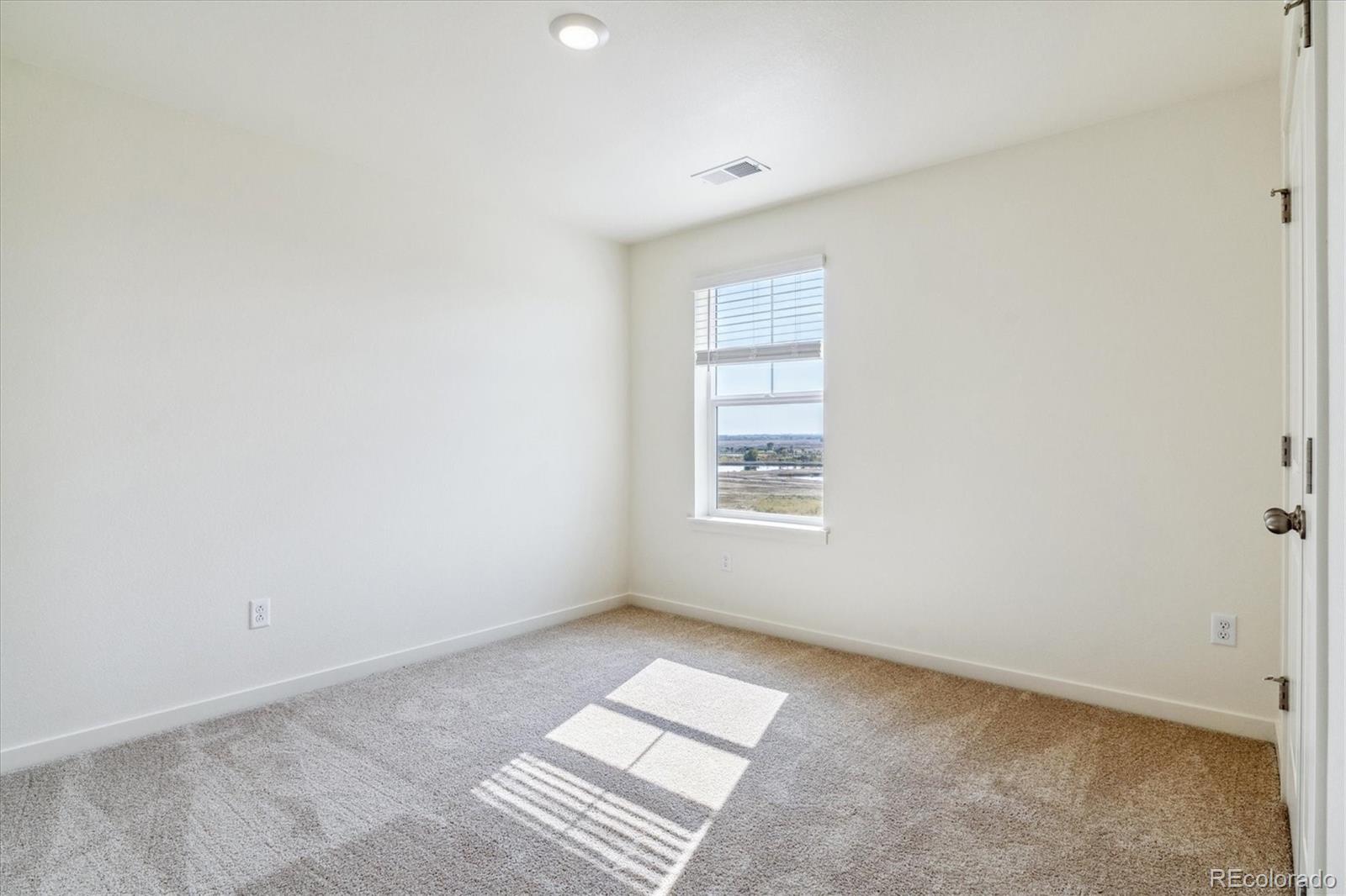 MLS Image #22 for 13610  topaz place,mead, Colorado