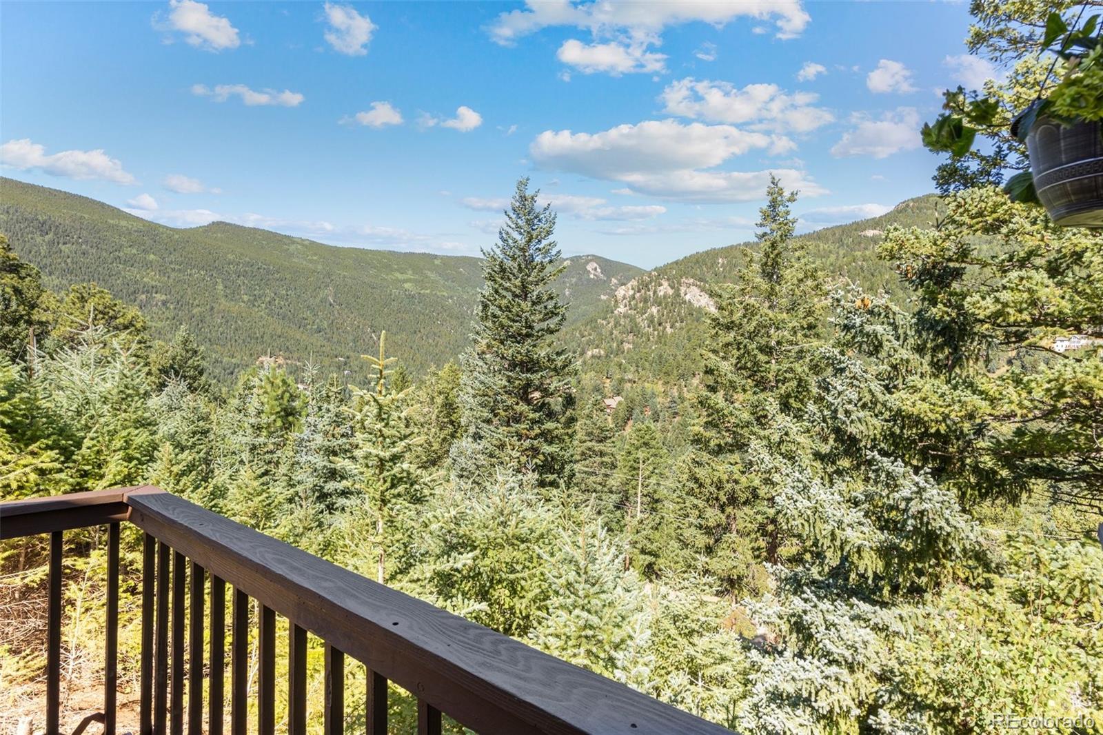 MLS Image #9 for 145  jackpine lane,evergreen, Colorado