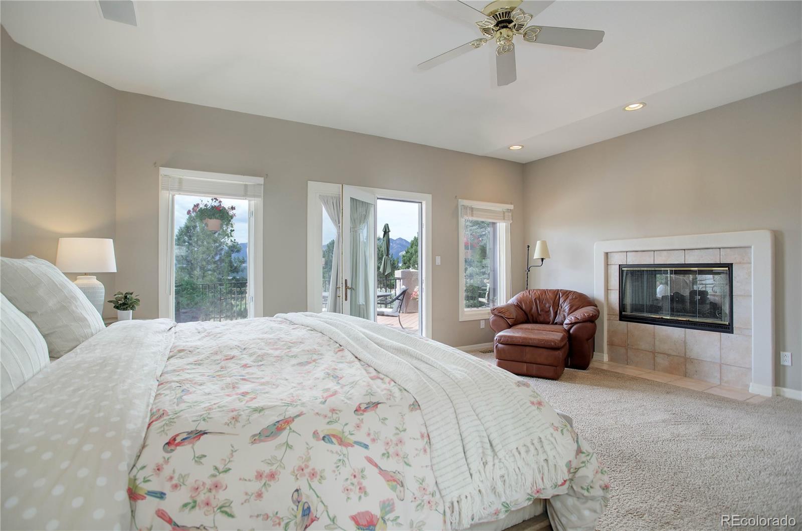 MLS Image #18 for 245  mission hill way,colorado springs, Colorado