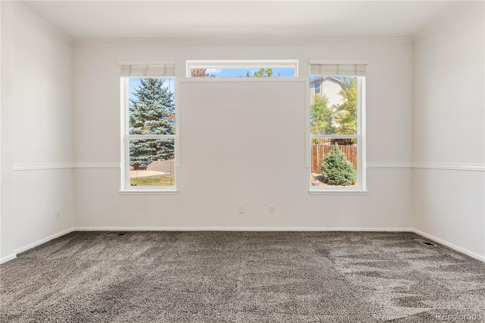 MLS Image #13 for 3942  lazy k drive,castle rock, Colorado