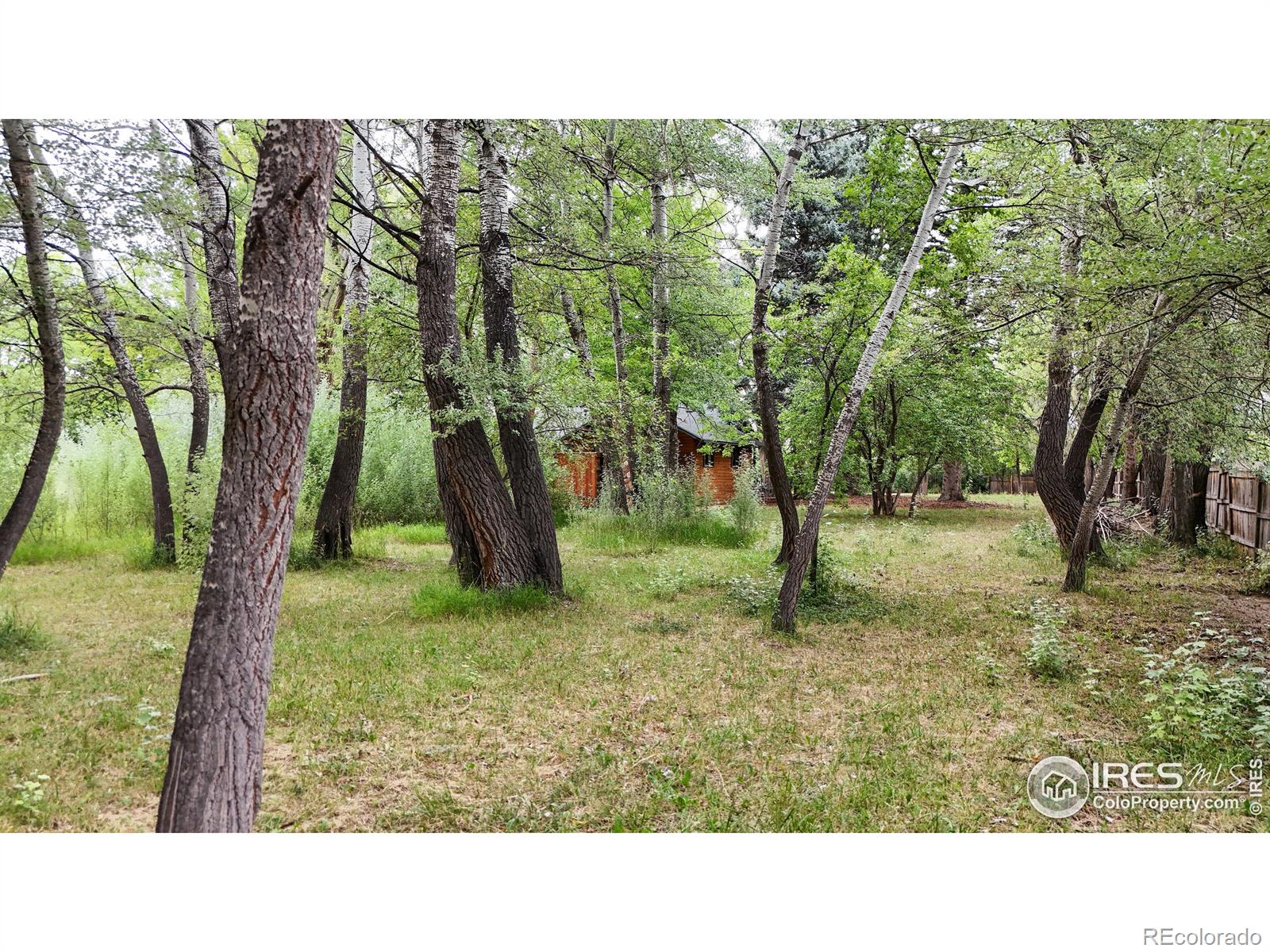 MLS Image #24 for 631 n overland trail,fort collins, Colorado