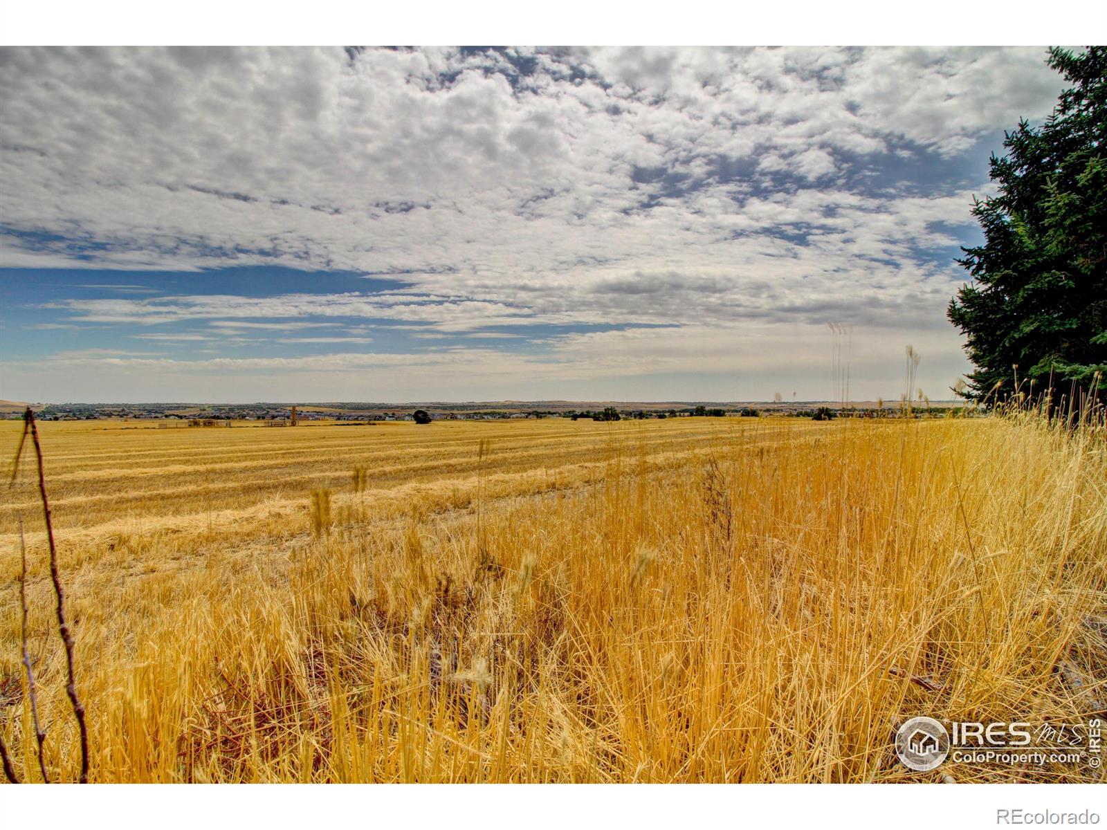 MLS Image #34 for 1288  hawk ridge road,lafayette, Colorado