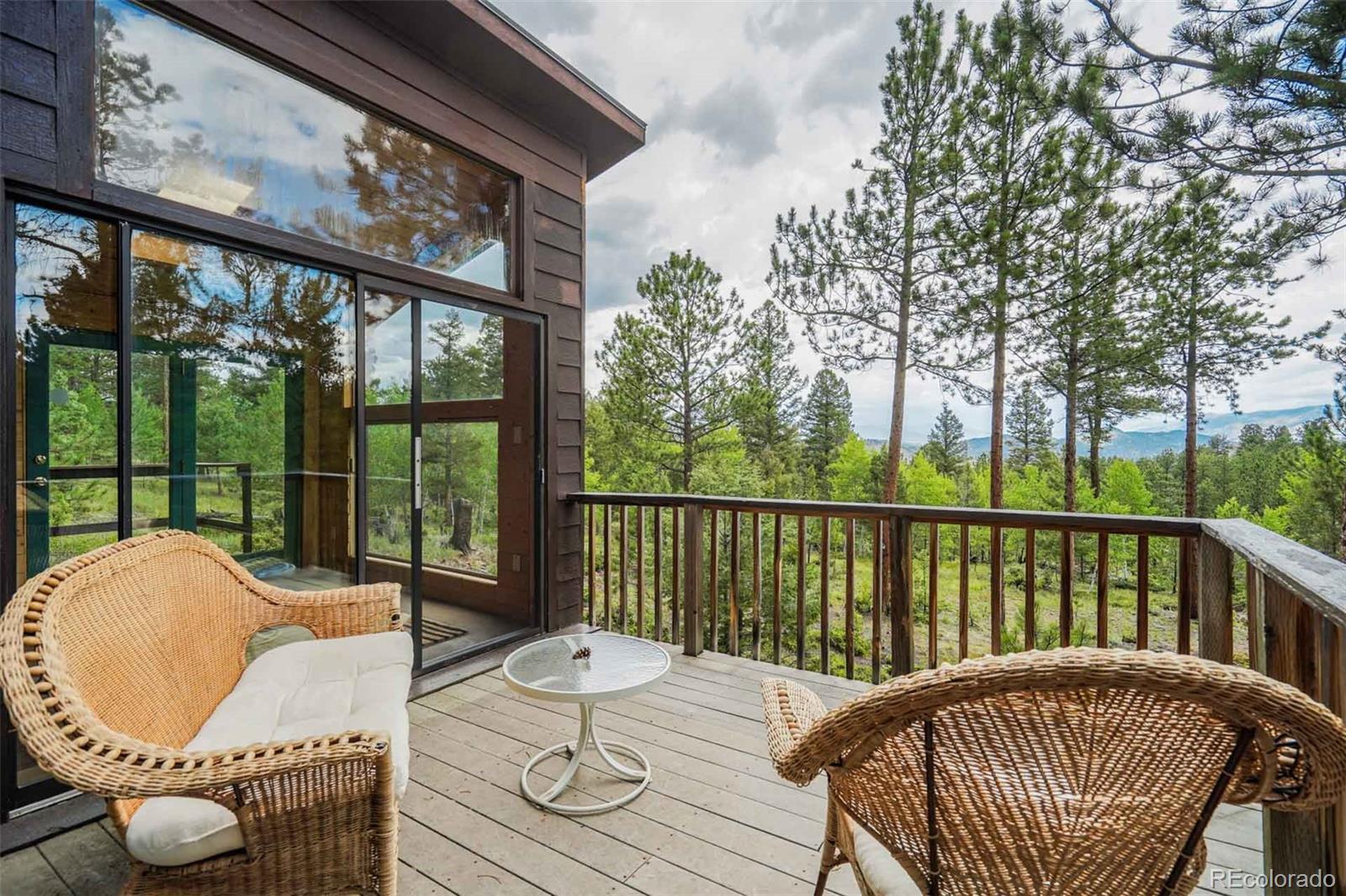 MLS Image #10 for 723  trail creek road,lake george, Colorado