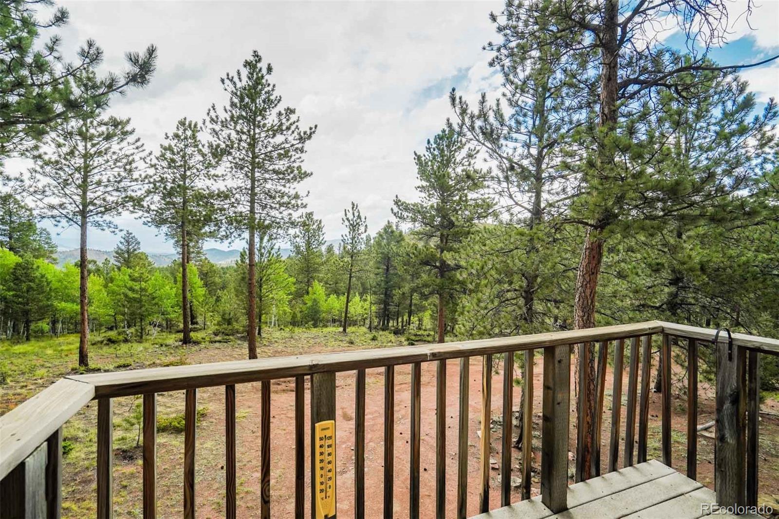 MLS Image #15 for 723  trail creek road,lake george, Colorado