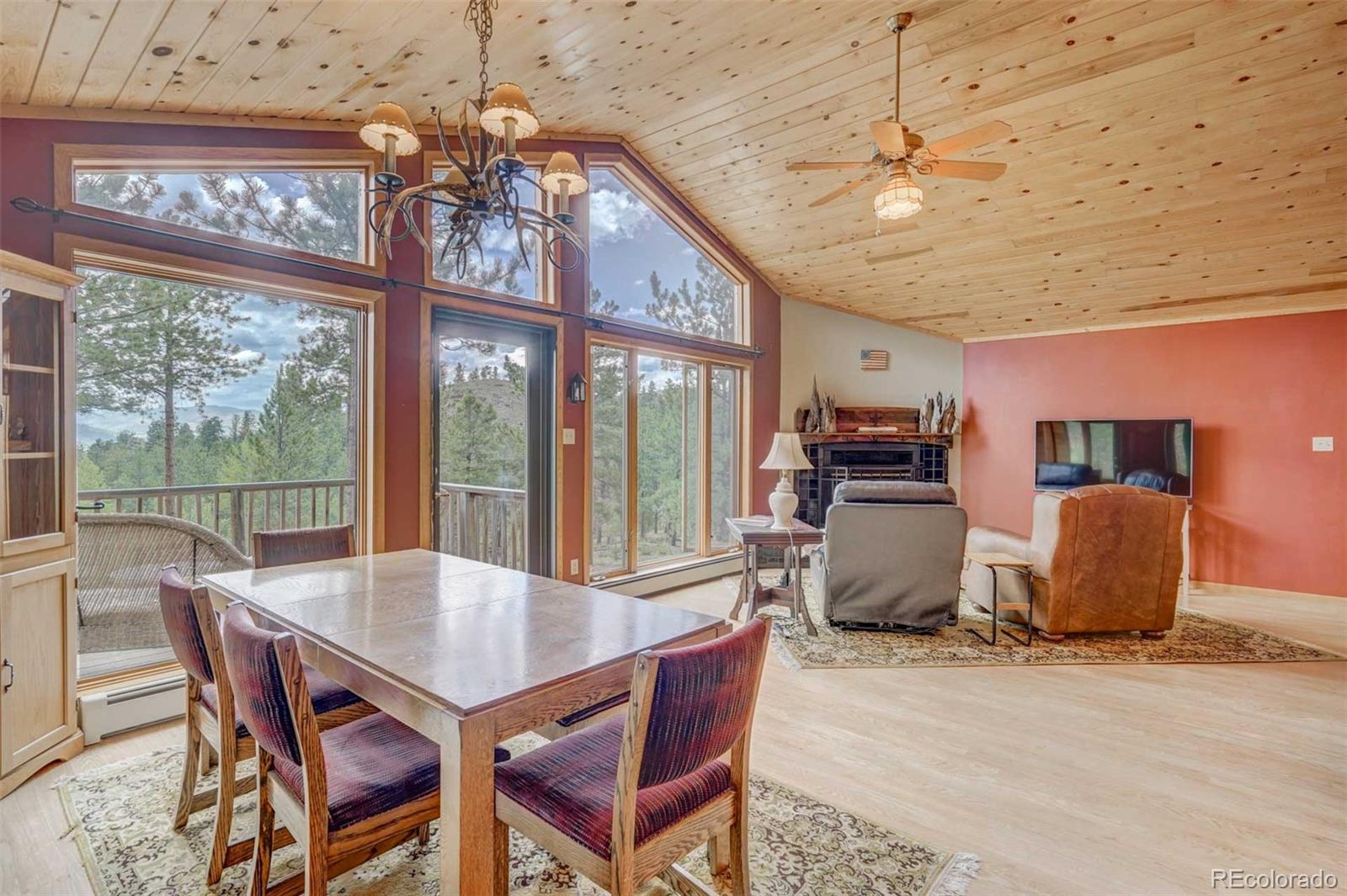 MLS Image #3 for 723  trail creek road,lake george, Colorado