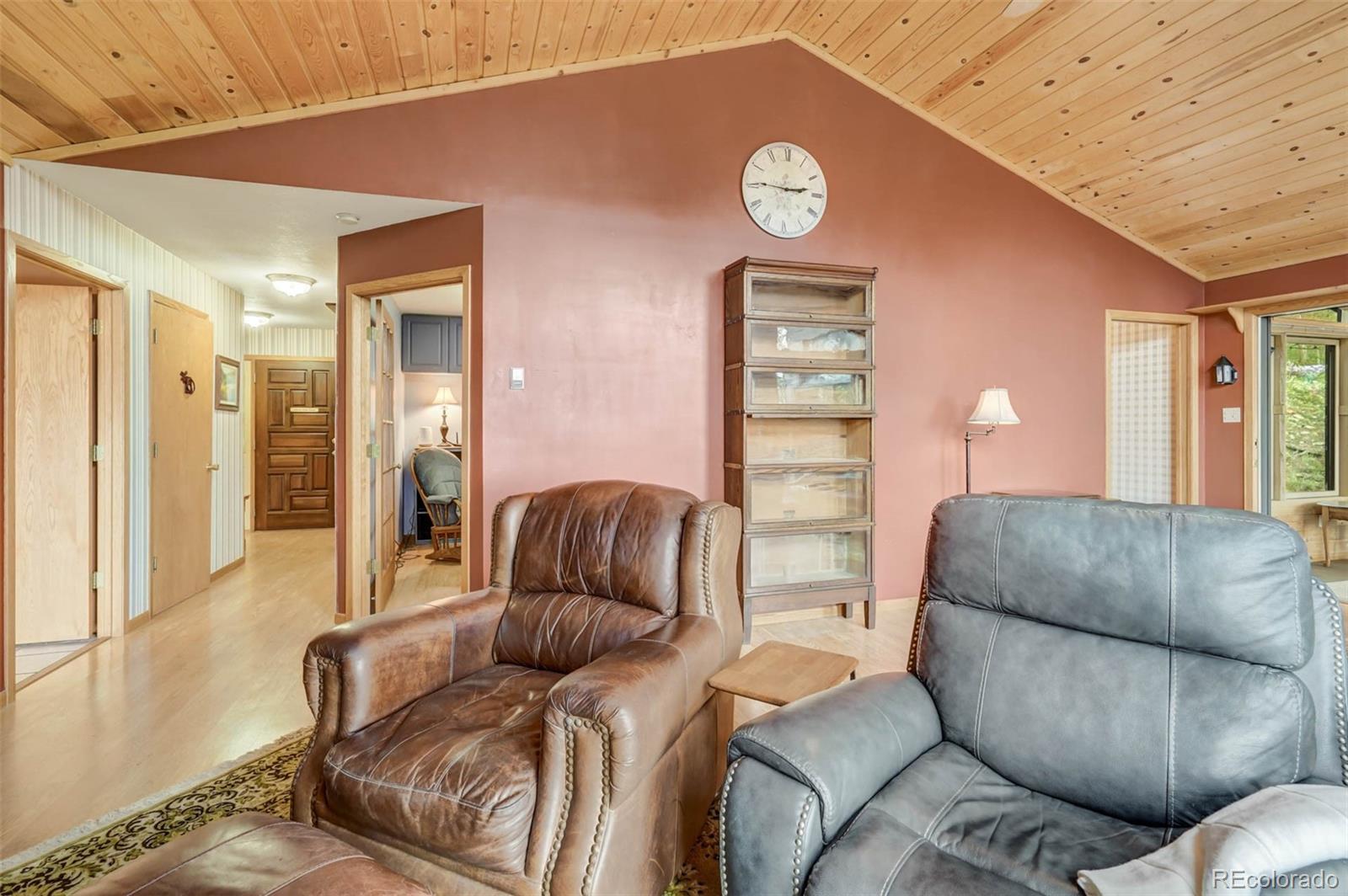 MLS Image #4 for 723  trail creek road,lake george, Colorado