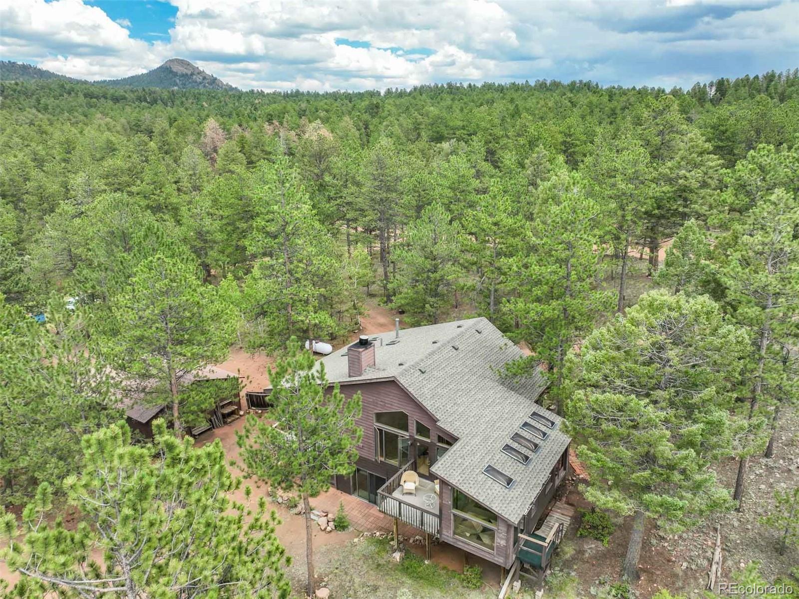 MLS Image #46 for 723  trail creek road,lake george, Colorado