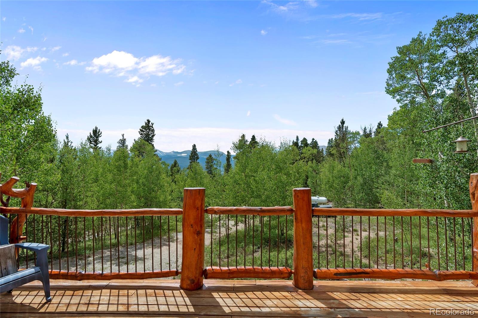 MLS Image #10 for 1384  county road 665 ,alma, Colorado