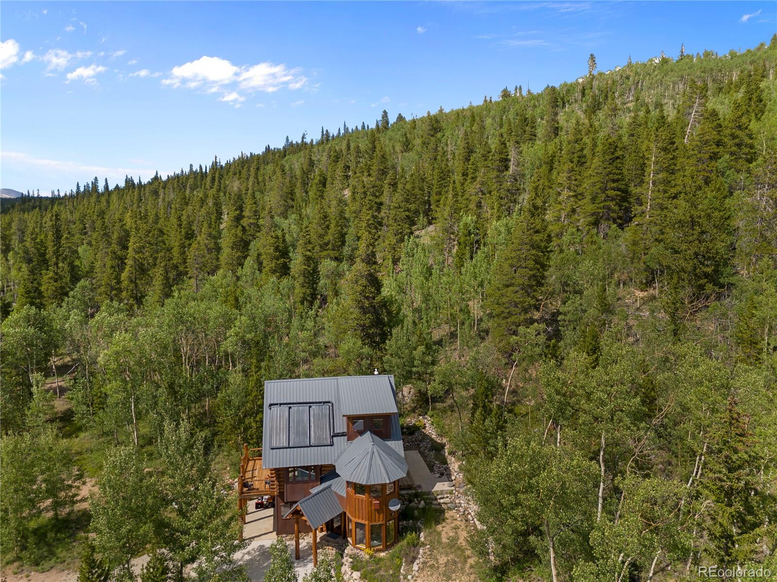 MLS Image #38 for 1384  county road 665 ,alma, Colorado